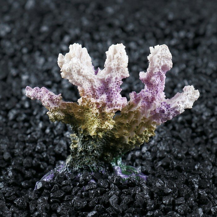 Декоративный коралл "Синулярия", 7 х 4 х 7 см - фотография № 2