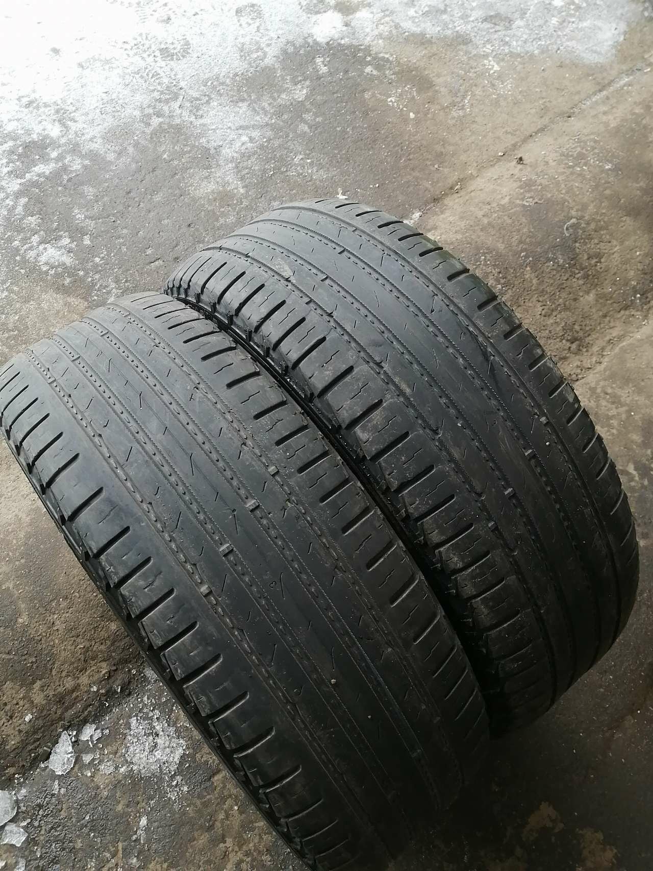 Nokian Tyres Hakka Blue SUV 215/60 R17 100H летняя