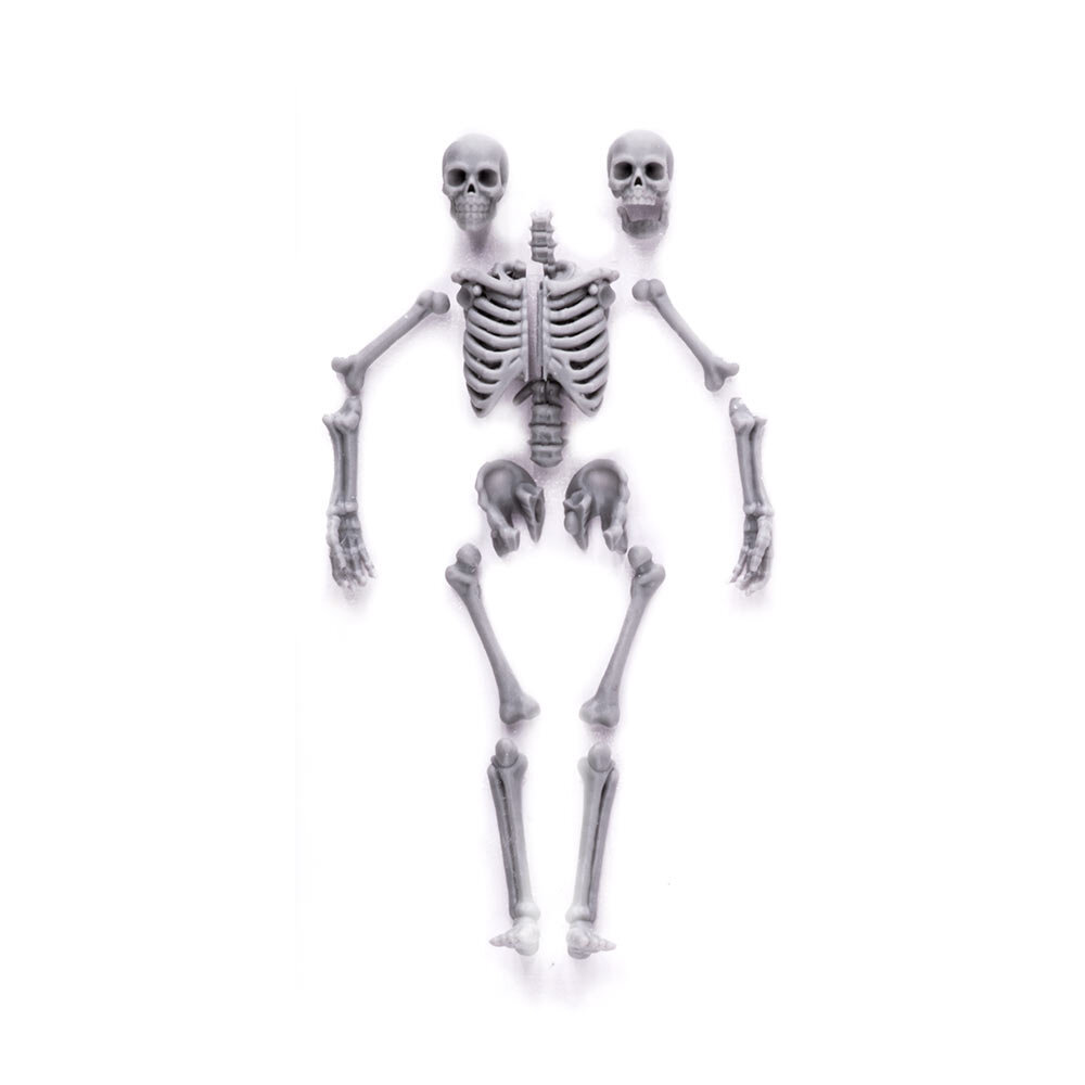 S206MWP Скелет, размер M