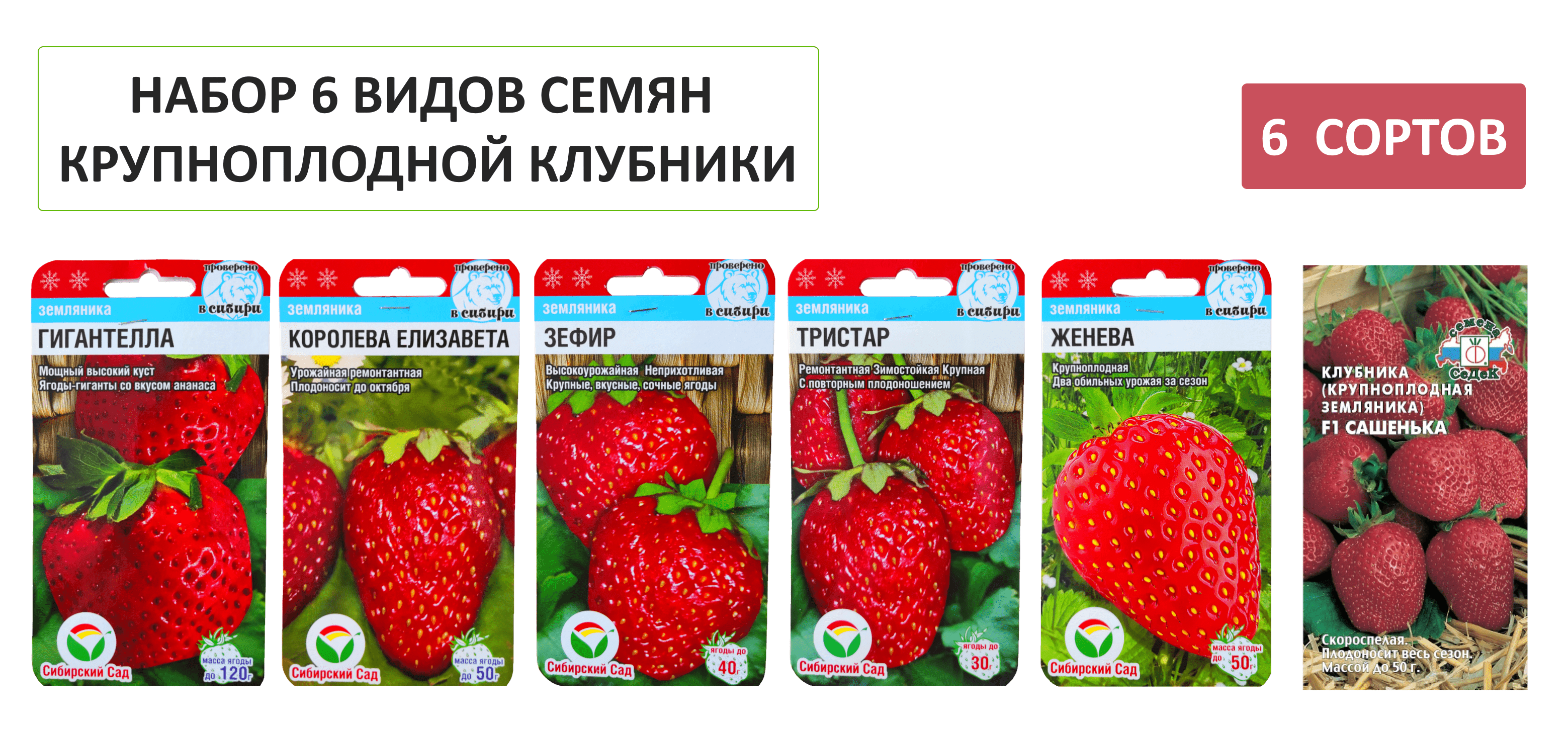 Набор 6 видов семян Клубники: Королева Елизавета Гигантелла Зефир Женева Тристар Сашенька F1