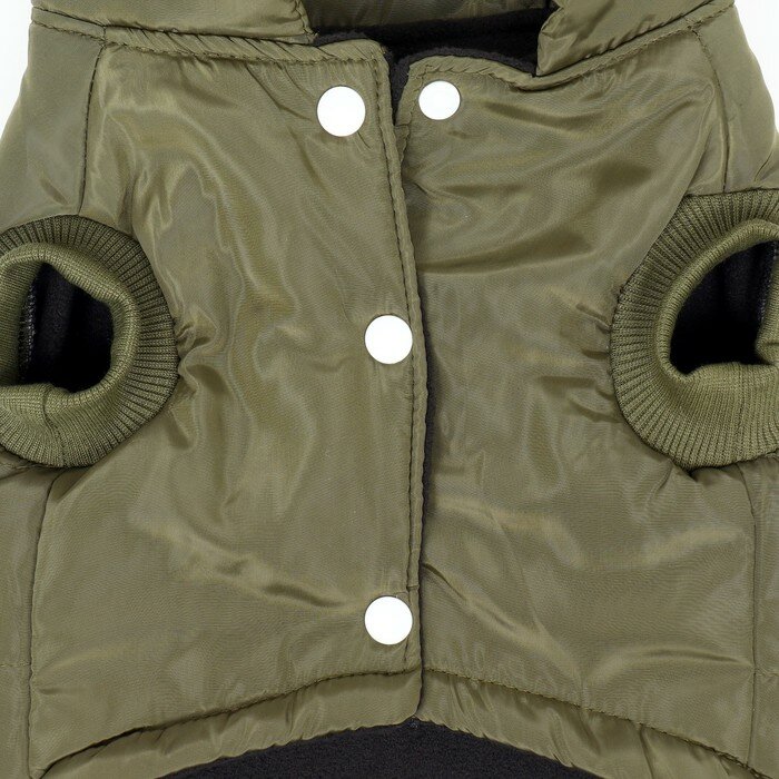 Куртка для собак "Прятки", размер L (ДС 35, ОГ 45, ОШ 35 см), зелёная - фотография № 9