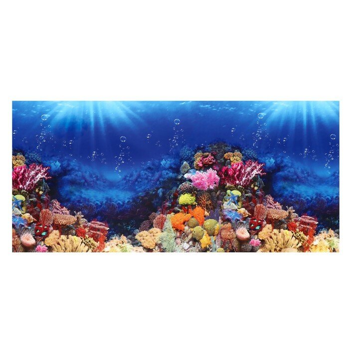 Фон для аквариума двухсторонний, 60 см, рулон 15 м - фотография № 3
