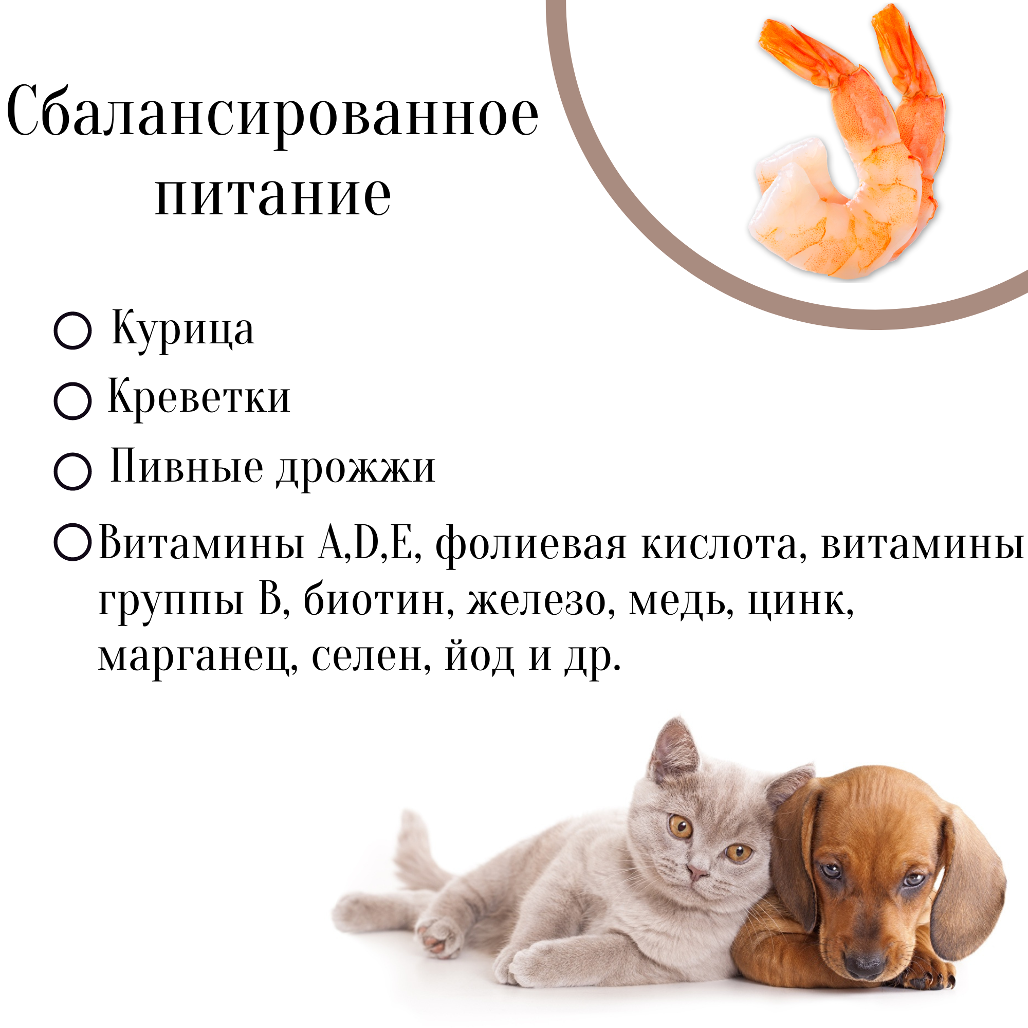 Gina полнорационный корм для стерилизованных кошек (Cat Sterilized Shrimps) - фотография № 3