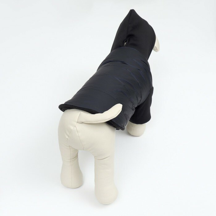 Куртка для собак "Спорт" с капюшоном, размер ХL (ДС 40, ОГ 50, ОШ 40 см), чёрная - фотография № 5