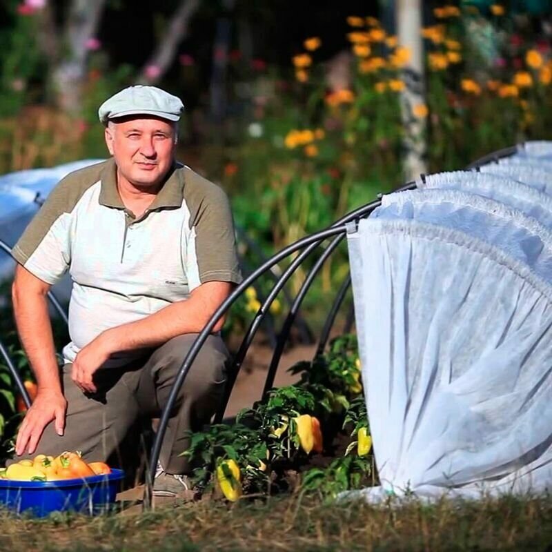 Набор «Счастливый дачник» (Два парника Подснежник 4 м+Укрывной материал черный 60г/м² ширина 1,6х8м) - фотография № 8