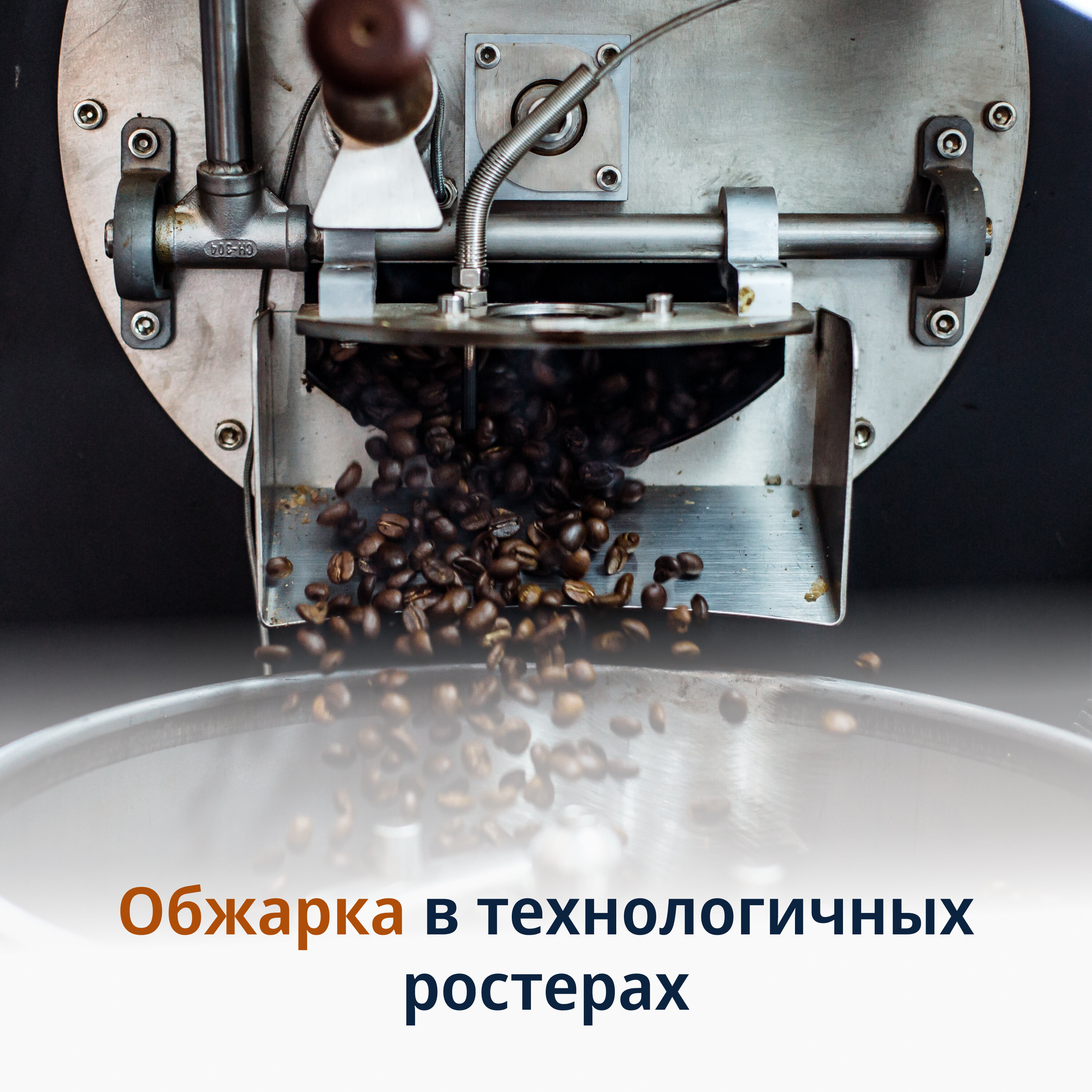 DeLonghi Кофе в зернах Signature coffee Mild Blend - фотография № 11