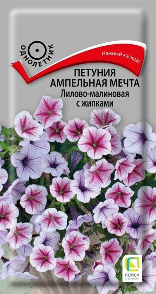 Петуния ампельная Мечта Лилово-малиновая с жилками