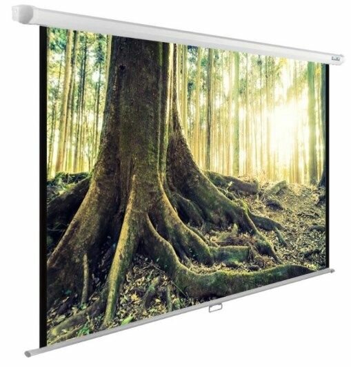 Экран для проектора Cactus WallExpert CS-PSWE-200x200-WT