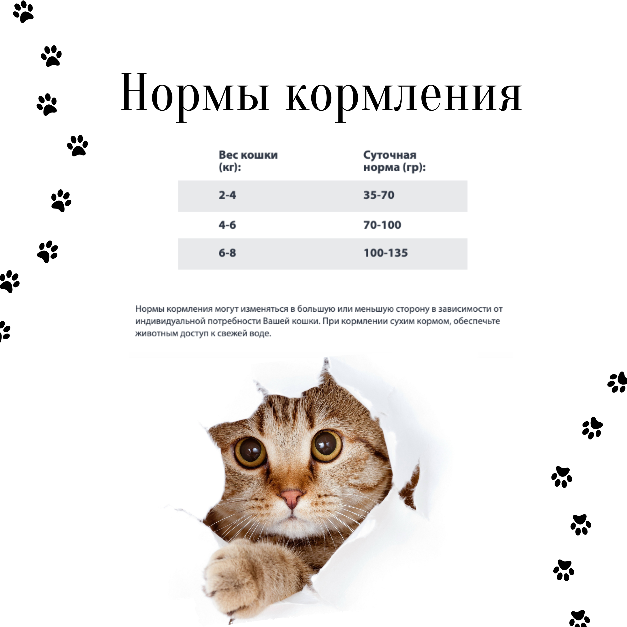 Gina полнорационный корм для стерилизованных кошек (Cat Sterilized Shrimps) - фотография № 2
