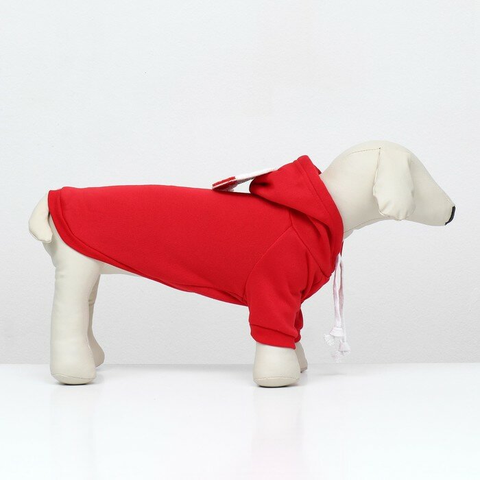 Костюм для животных "Дед Мороз", размер XL, красный - фотография № 3