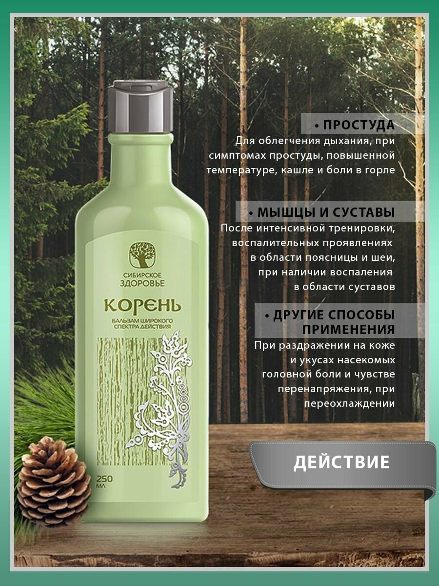 Корень сибирское здоровье фото