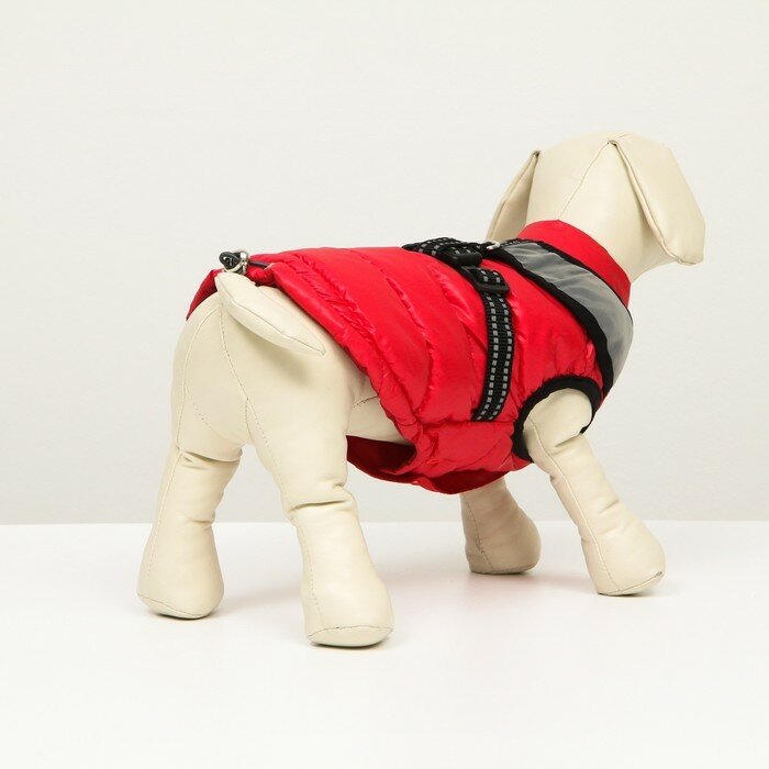 Куртка для собак со светоотражающей шлейкой, размер 8 (ДС 23 см, ОГ 30, ОШ 22 см), красная - фотография № 3