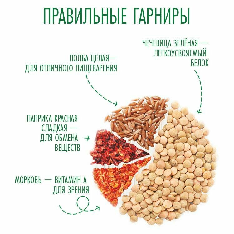 Чечевица зеленая с полбой и овощами "Правильные гарниры" (Образ Жизни), 300 г (5 пакетов) - фотография № 2