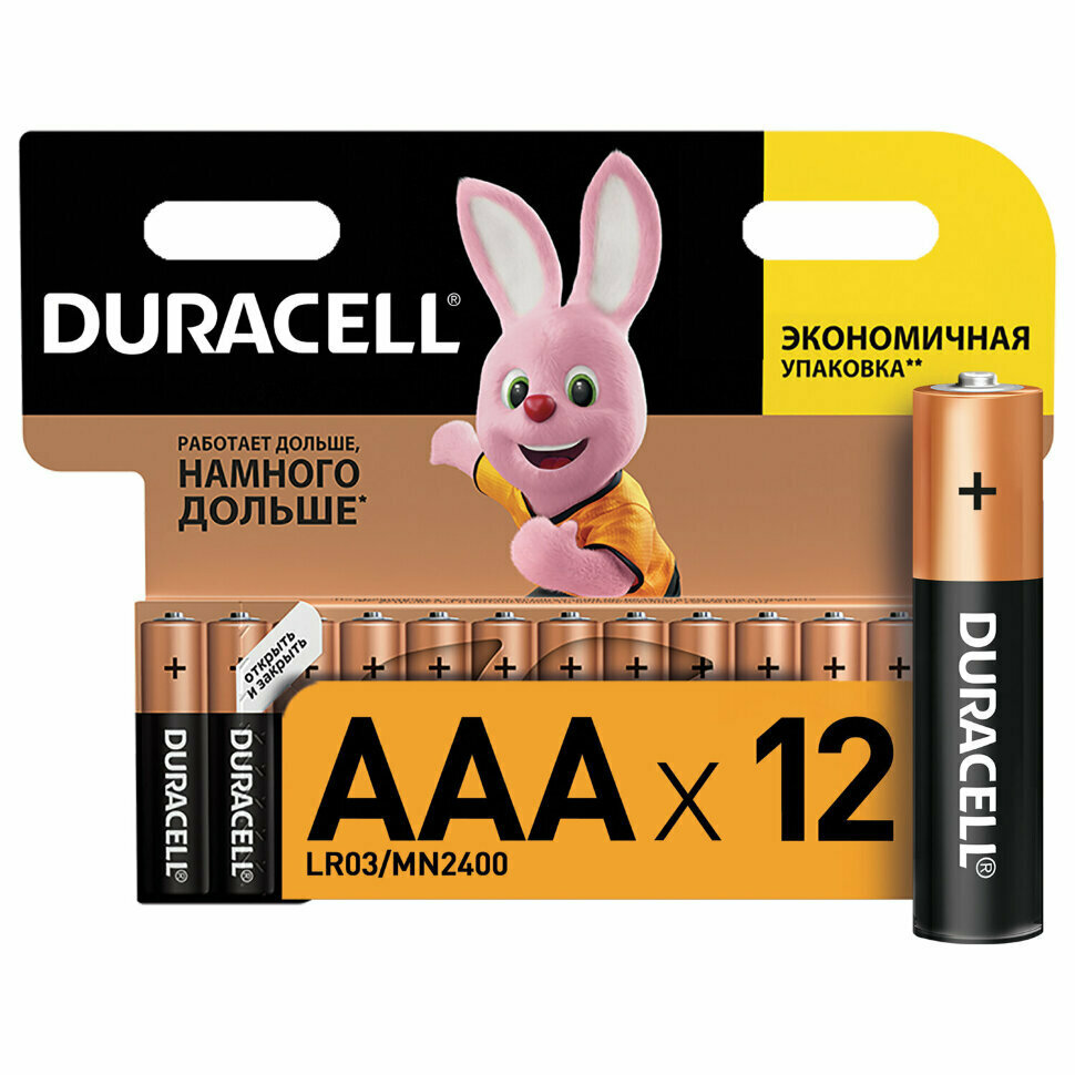 Батарейки комплект 12 шт, DURACELL Basic, AAA (LR03, 24А), алкалиновые, мизинчиковые, блистер, 451362