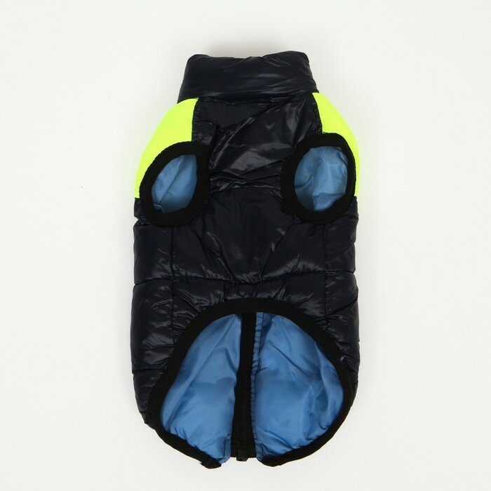 Куртка для собак на молнии, размер 14 (ДС 32 см, ОГ 42 см, ОШ 31 см), синяя с жёлтым - фотография № 9