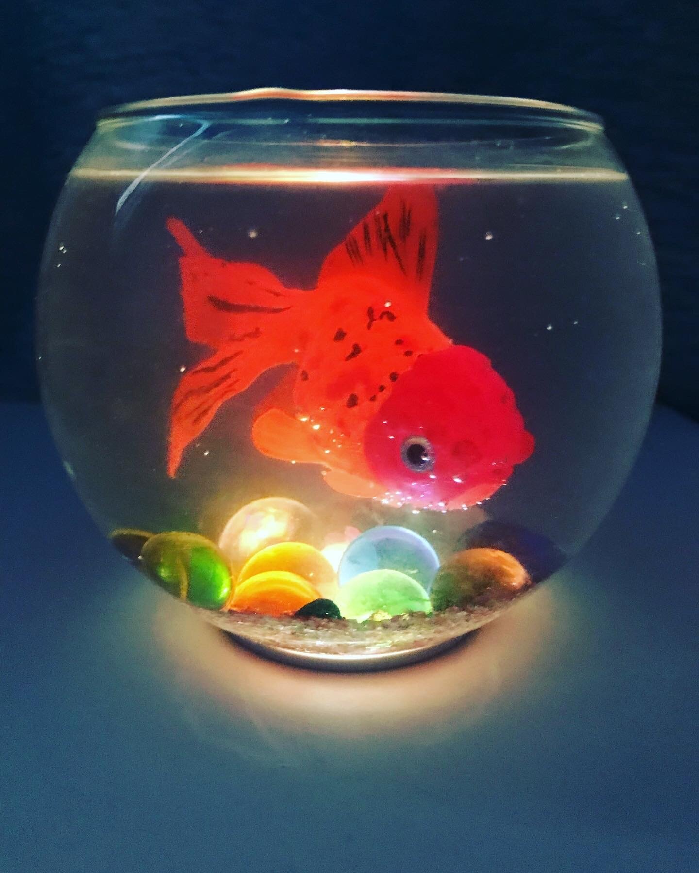 Мини Аквариум с золотой рыбкой - фотография № 1