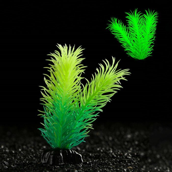 Растение искусственное аквариумное, светящееся, 8 см, зелёное - фотография № 1