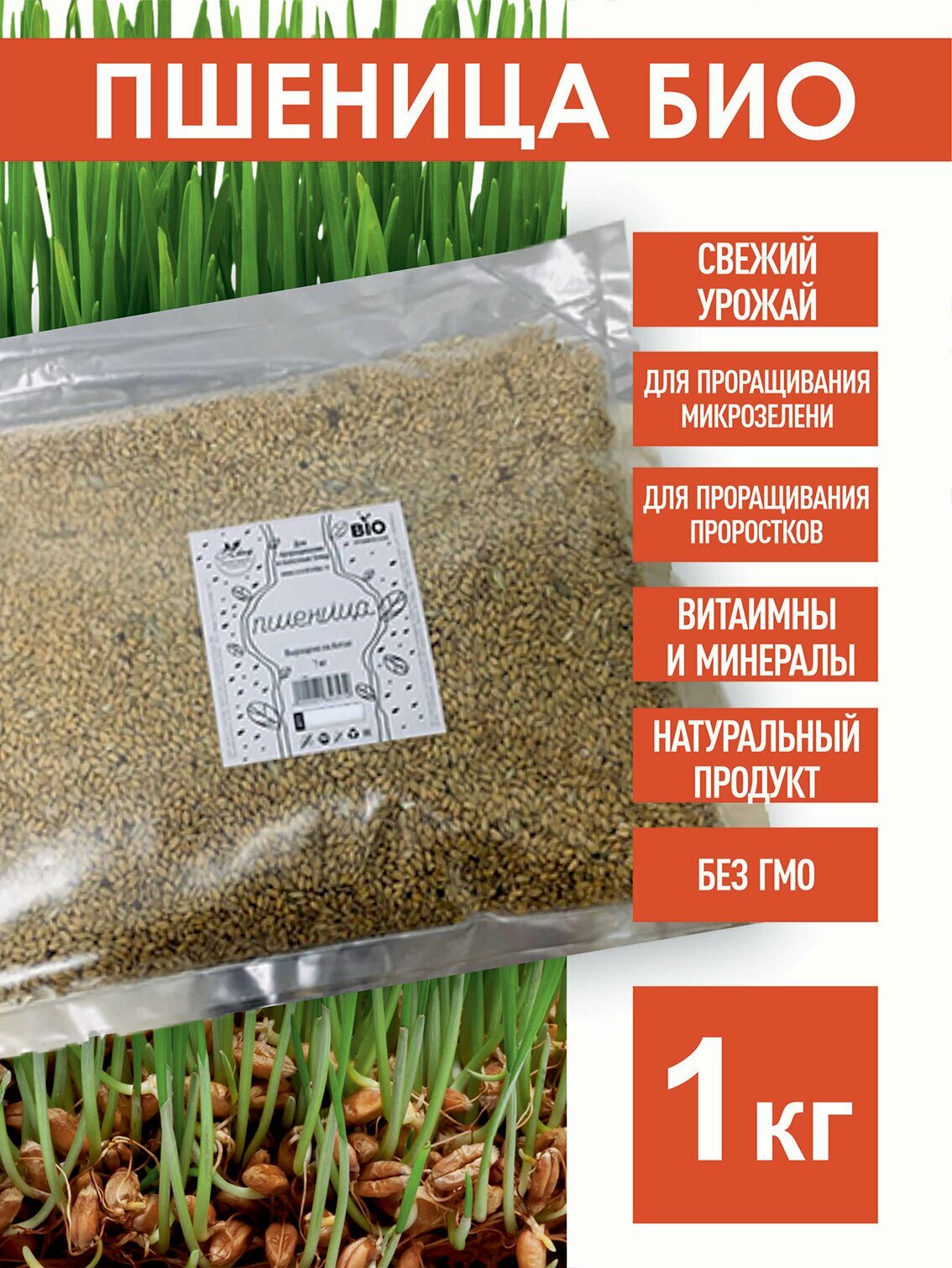 Пшеница Семена БИО для проращивания, 1 кг.