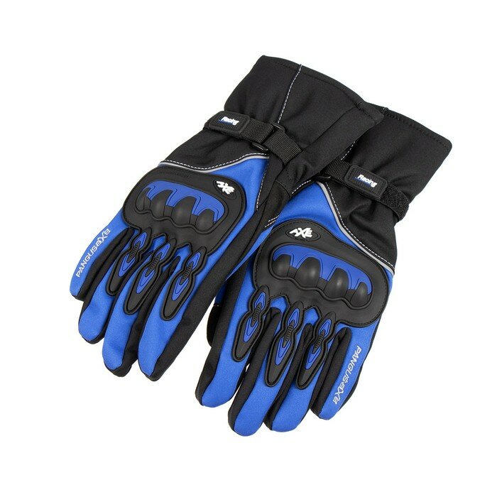 Перчатки мотоциклетные зимние размер L синий