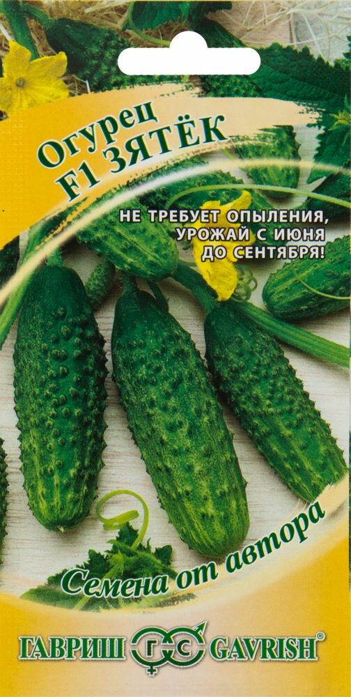 Семена Огурец Зятёк F1 от автора 10 шт.
