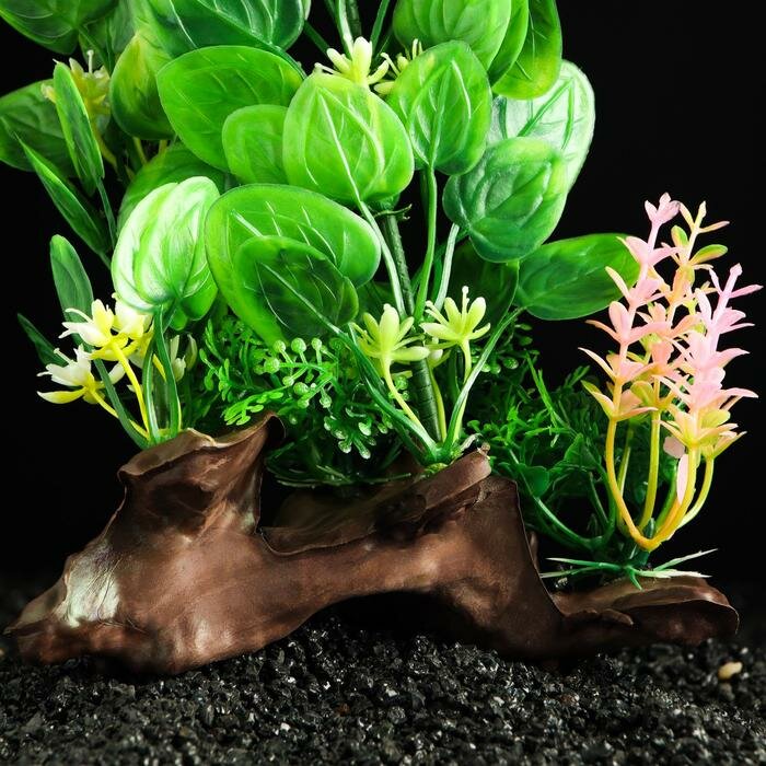 Растение искусственное аквариумное на платформе в виде коряги, 18 см, зелёное - фотография № 3
