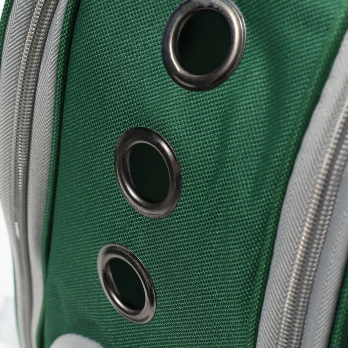 Прозрачный раскладывающийся рюкзак для животных, 33 х 28 х 42 см, зеленый - фотография № 9