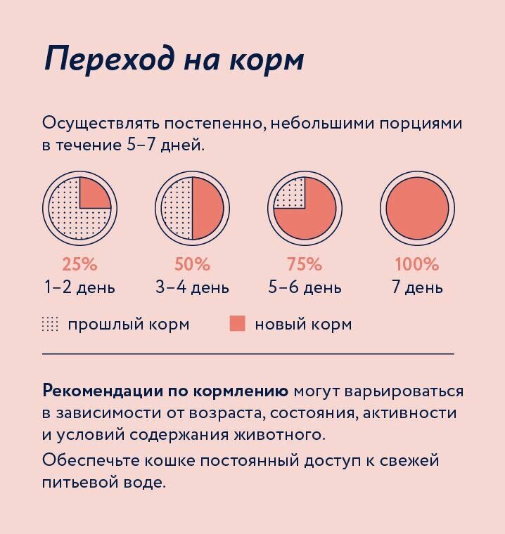 Florida - Паучи для кошек с чувствительным пищеварением, кусочки с лососем в соусе 85гр pp60009.1 Упаковка 12шт - фотография № 5