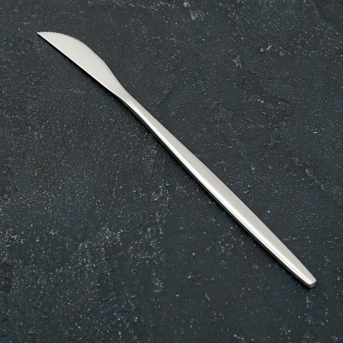 Magistro Нож столовый Magistro "Блинк", 22 см, цвет серебро, на подвесе - фотография № 1