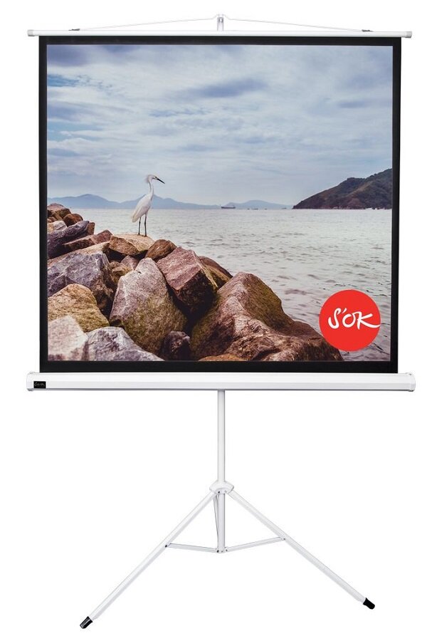Экран для проектора Sakura Cinema S OK SCPST-220x220 1:1 white