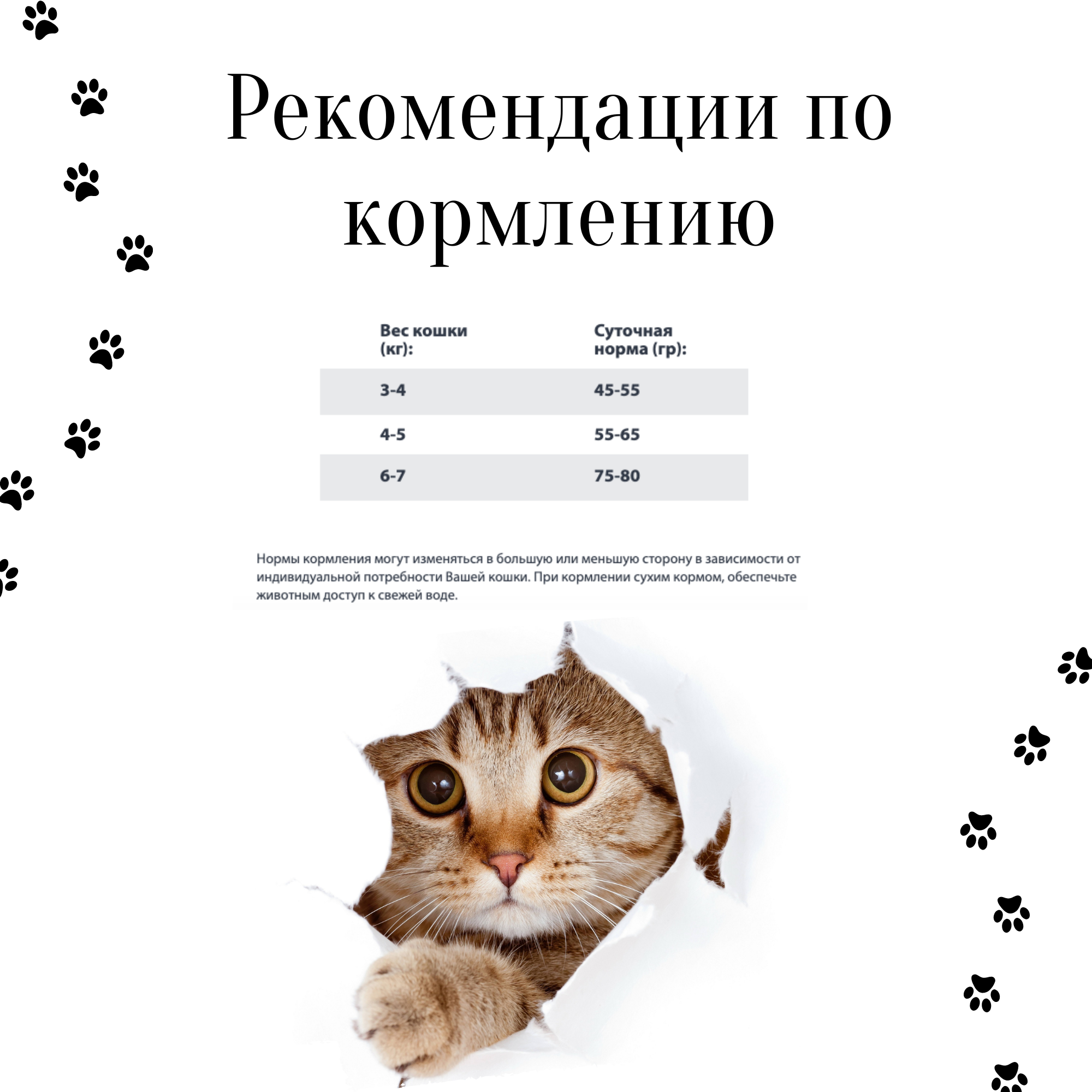 Gina полнорационный корм для взрослых кошек с уткой (Cat Duck) - фотография № 2