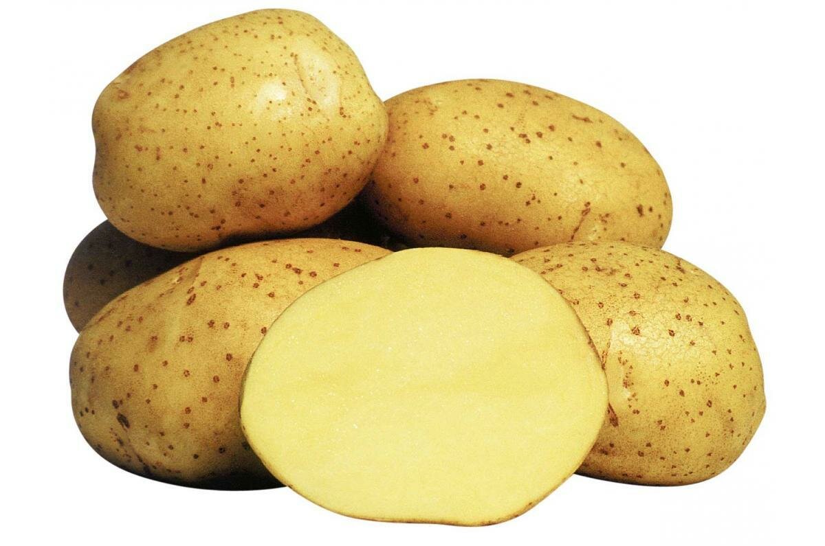 Картофель семенной Колетте ( 2 кг в сетке 28-55, элита )