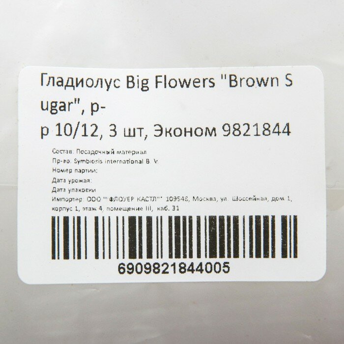 Гладиолус Big Flowers "Brown Sugar", р-р 10/12, 3 шт, Эконом - фотография № 2