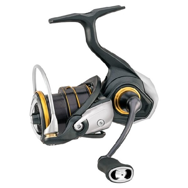 Daiwa 21 Caldia FC LT 2500S