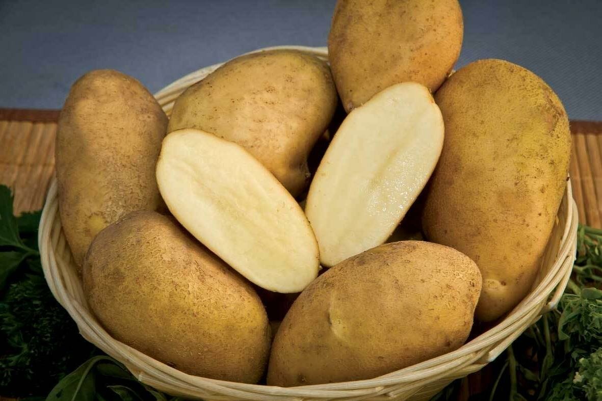 Картофель семенной Удача ( 2 кг в сетке 28-55 мм элита )