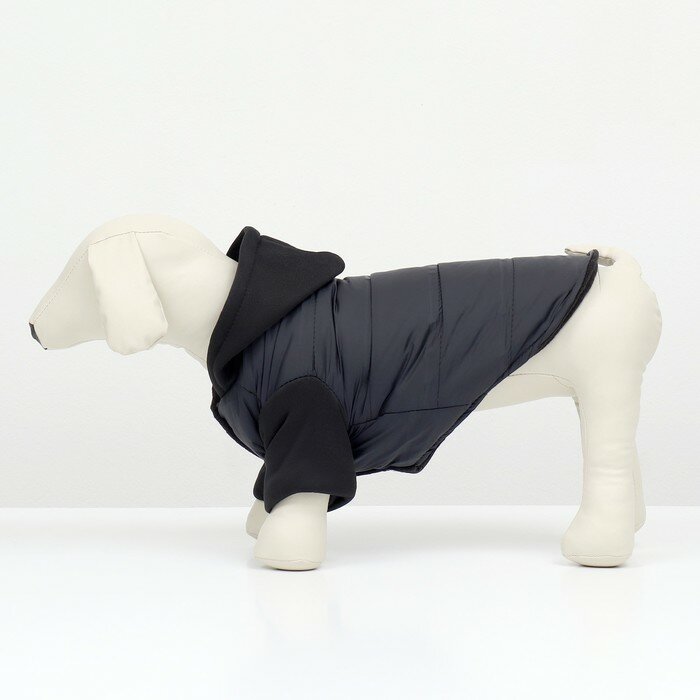 Куртка для собак "Спорт" с капюшоном, размер M (ДС 30, ОГ 40, ОШ 30 см), чёрная - фотография № 2