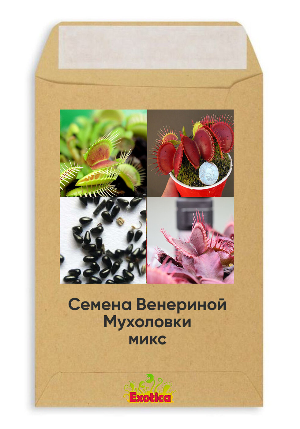 Семена венериной мухоловки микс - от 15шт