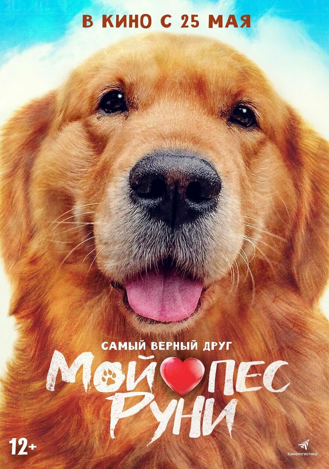 Мой пёс Руни (2023) (DVD-R)