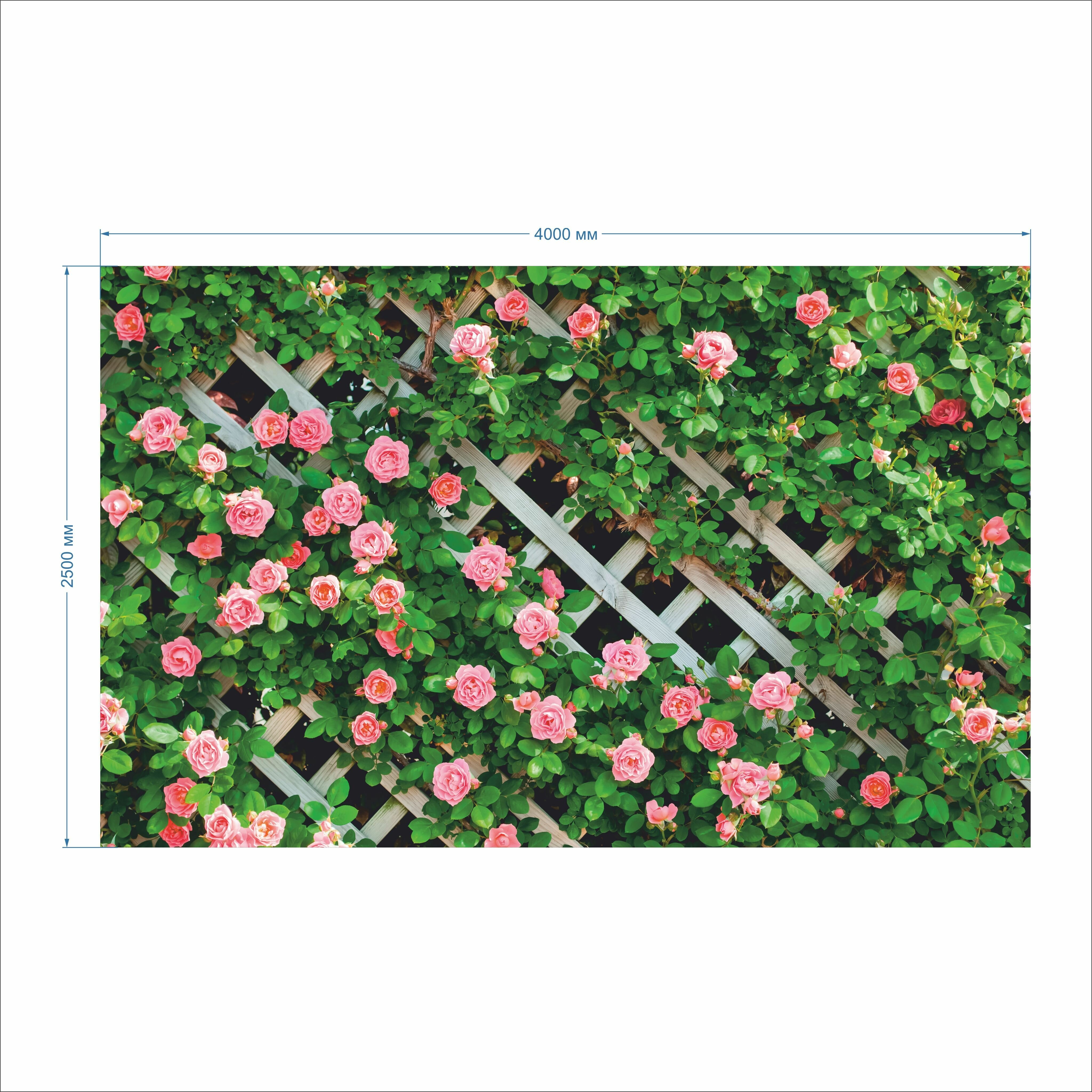 Фотосетка для забора и фасада 2,5 х 4 м с люверсами / Розы - фотография № 2
