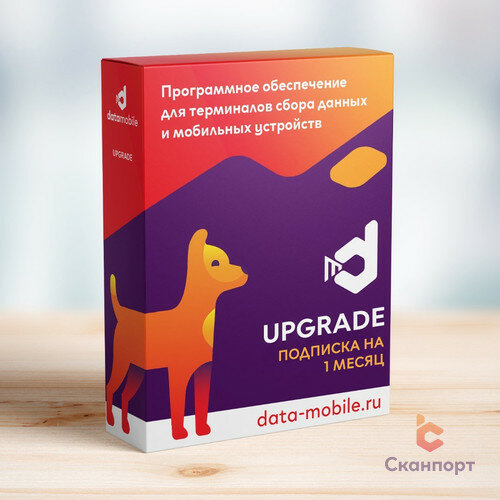 DataMobile, Upgrade с версии 1 месяц