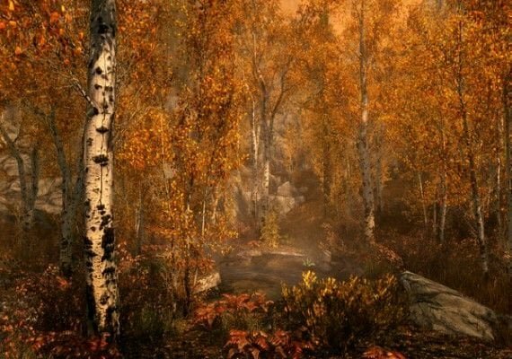 XB1 ELDER SCROLLS V SKYRIM SPECIAL EDITON Игра для Xbox One Bethesda Softworks - фото №5
