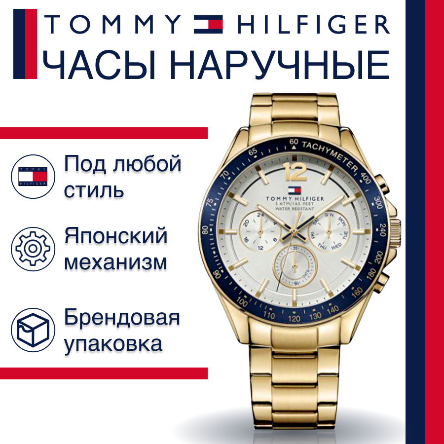 Наручные часы Tommy Hilfiger Luke 1791121