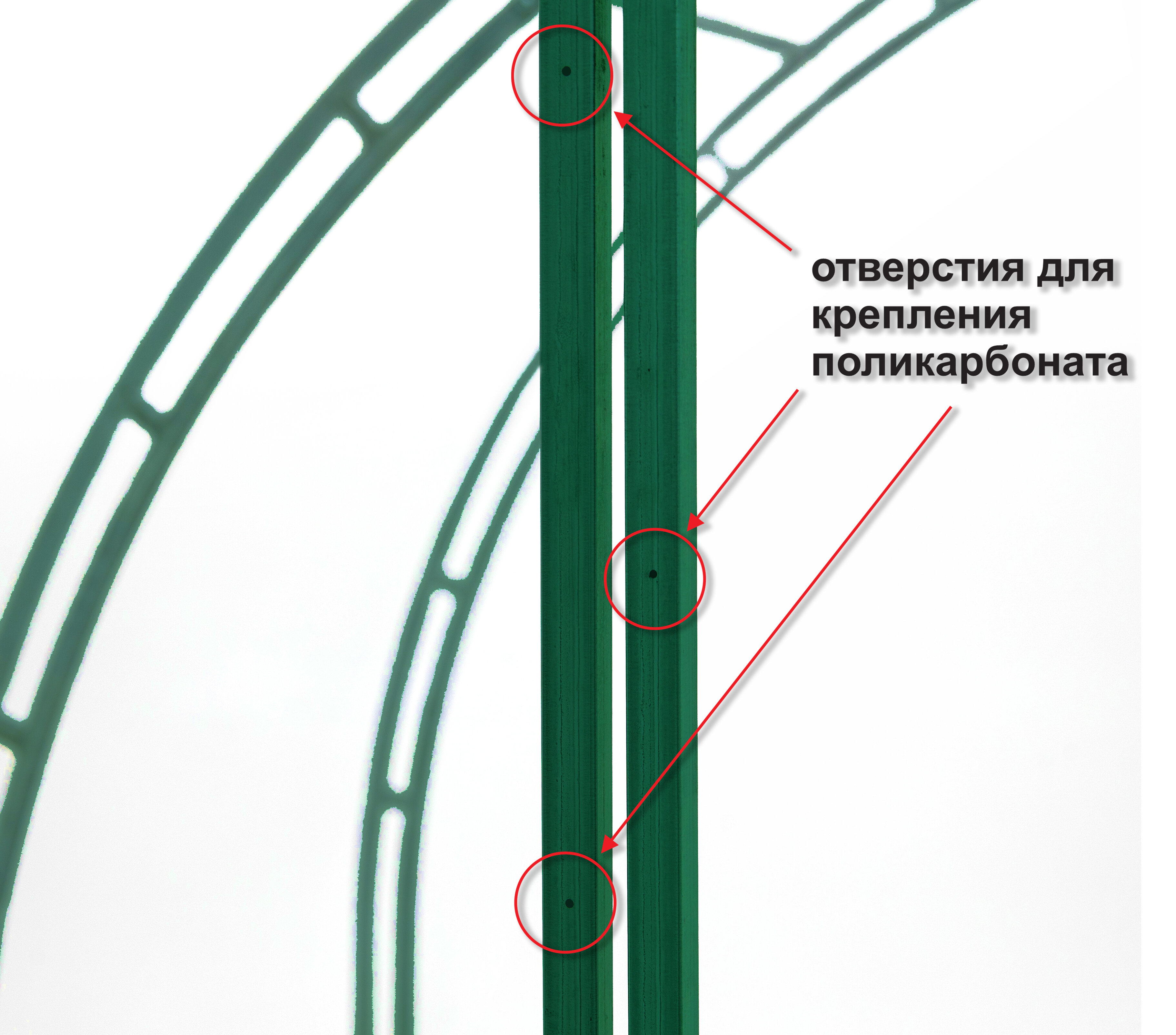 Теплица дачная ТМК "Титан" разборная 6х3х2,1,м RAL 6005, с поликарбонатом 3,7 мм, 4 листа - фотография № 8