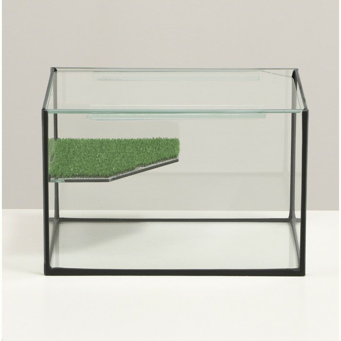 Террариум с покровным стеклом и мостиком 12 литров, 30х20х20 см - фотография № 2