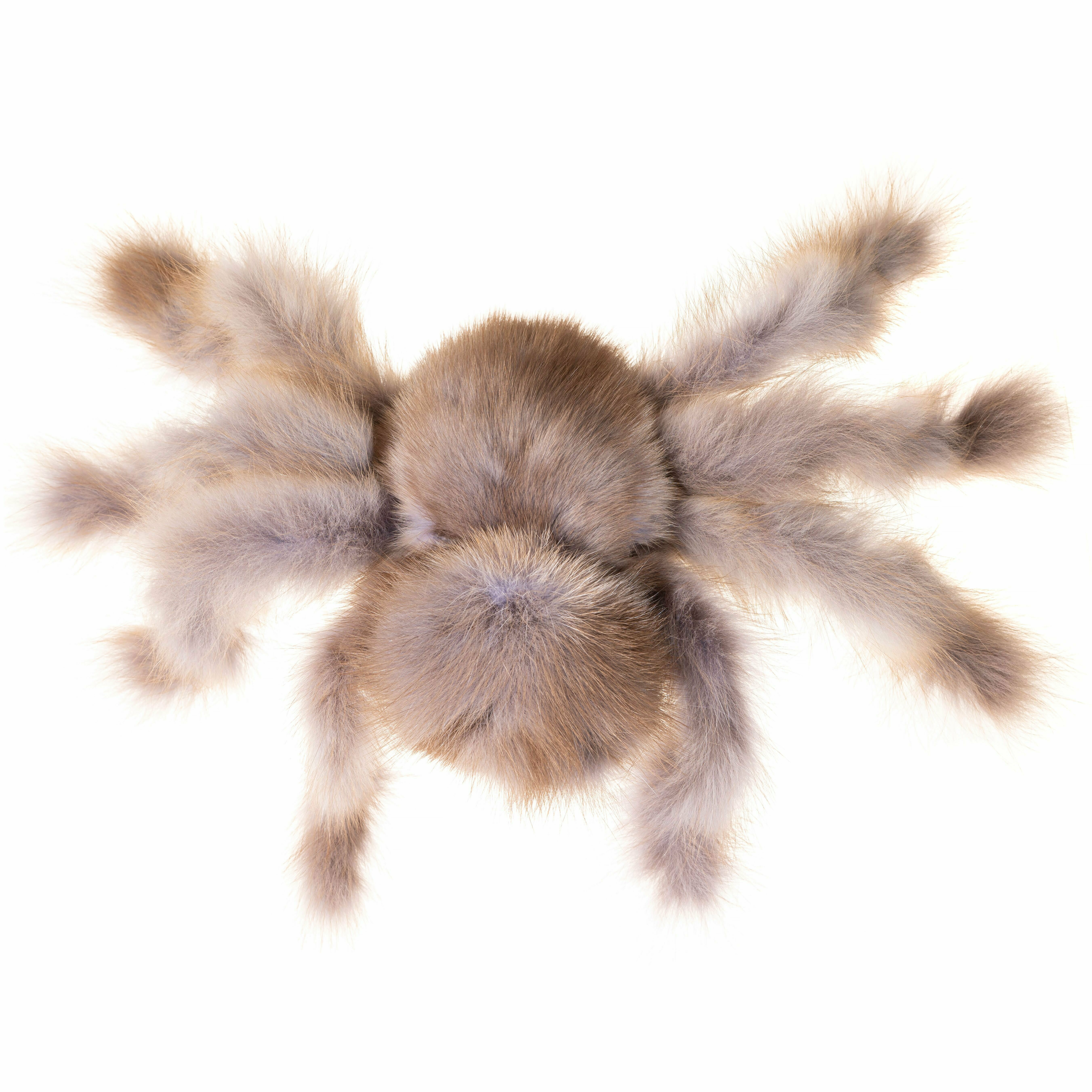 Игрушка паук из соболя - фотография № 7