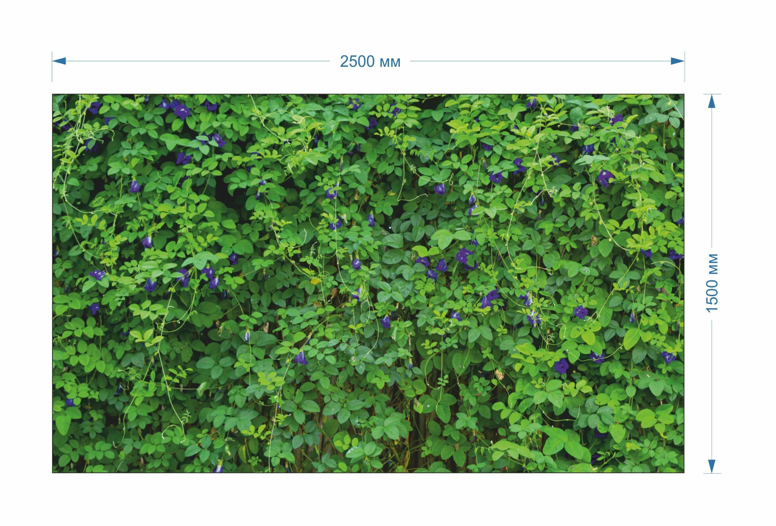 Фотосетка для забора и фасада 2,5 х 1,5 м с люверсами / Зелень с цветами - фотография № 2