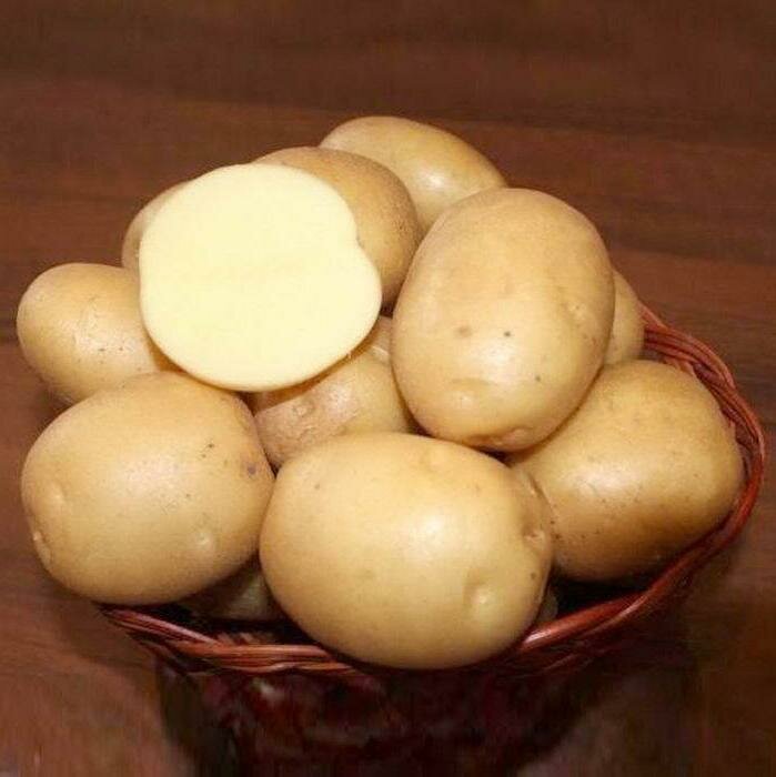 Картофель семенной Колобок ( 2 кг в сетке 28-55 мм элита )