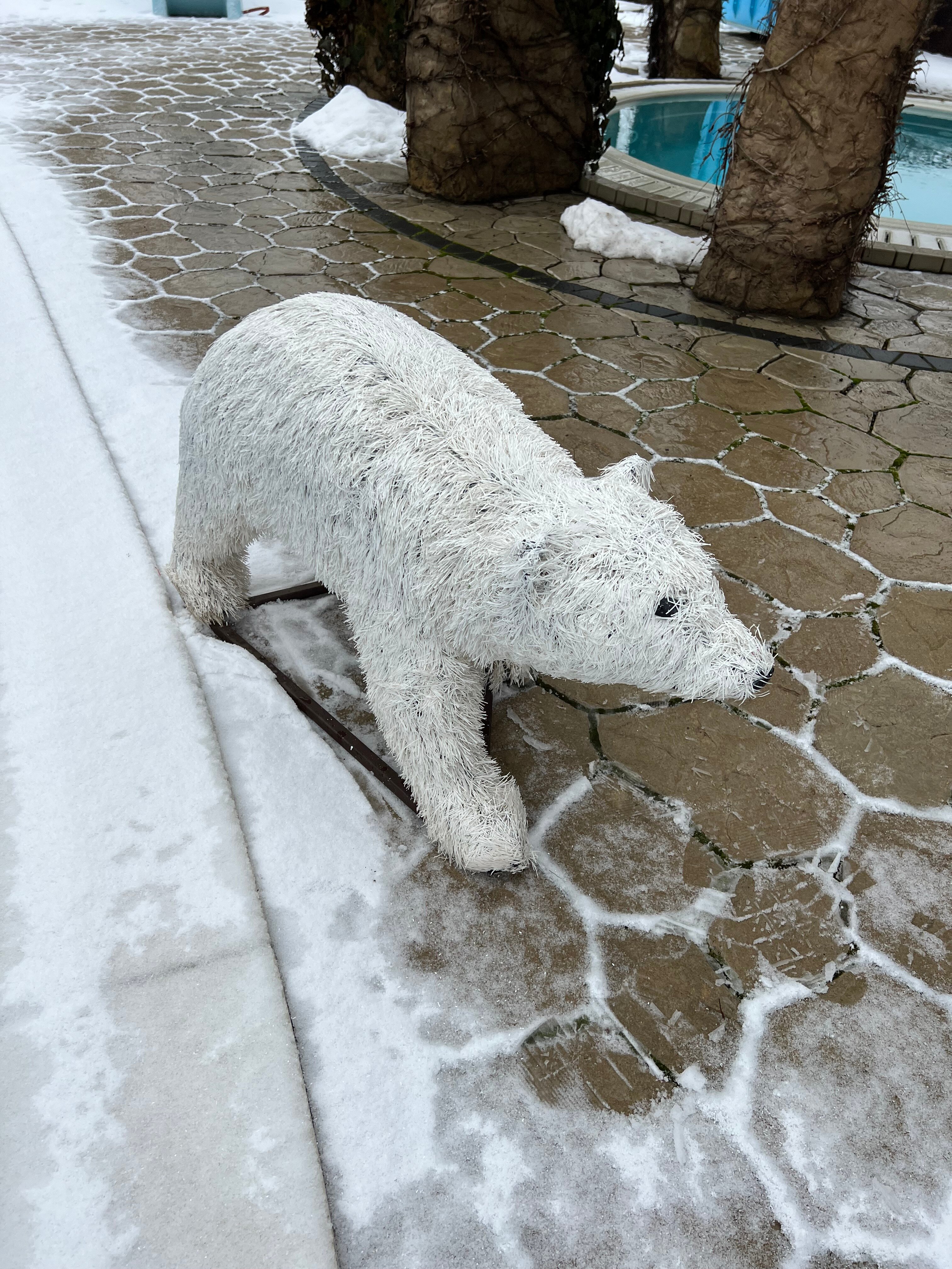 Топиари - садовая фигура Медведь белый - фотография № 2