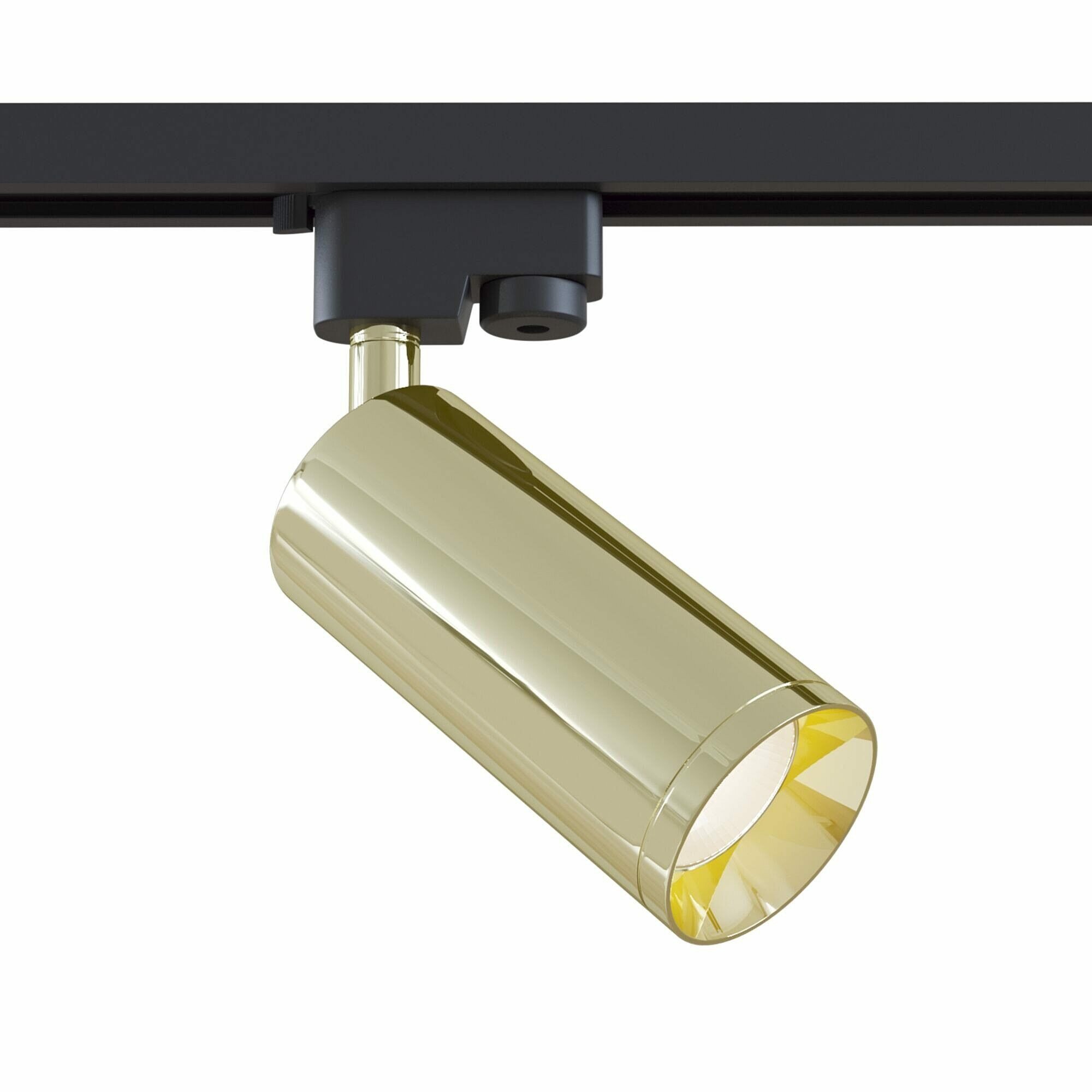 Трековый светильник TR004-1-GU10-G Track lamps