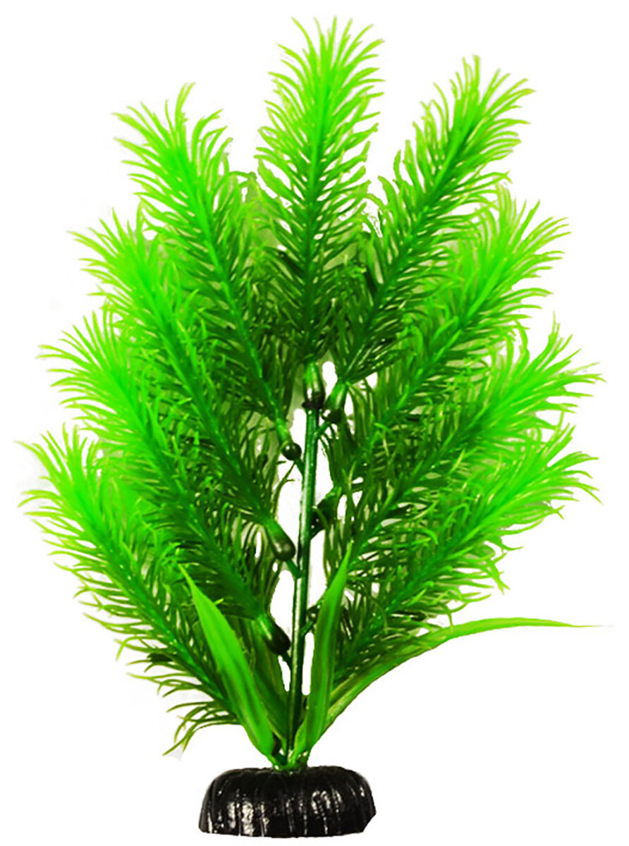 фото Растение для аквариума пластиковое Barbus Plant 028/20 Перистолистник 20 см (1 шт)