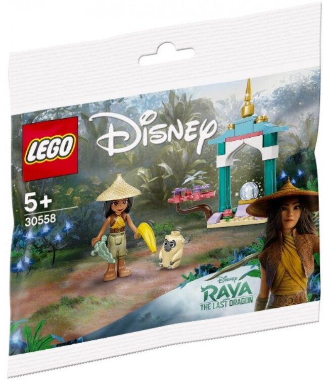 Конструктор LEGO Disney 30558 Райя и Онги